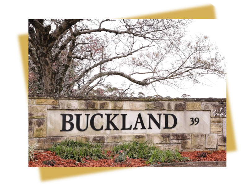 Buckland Hubspot Image (2)